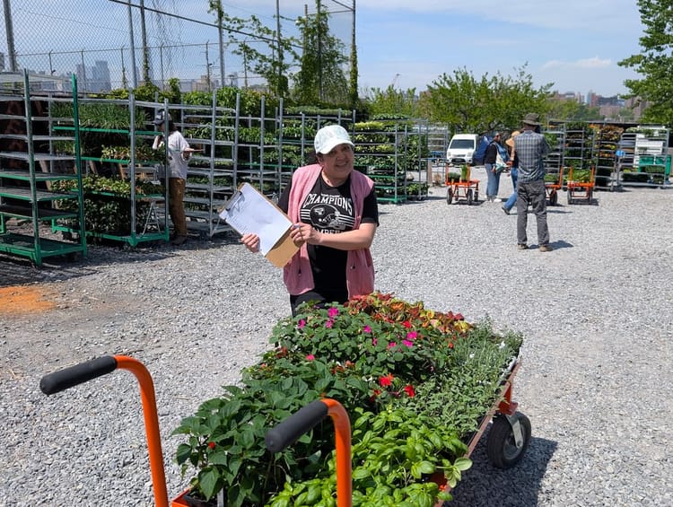 May 2025 Garden Newsletter