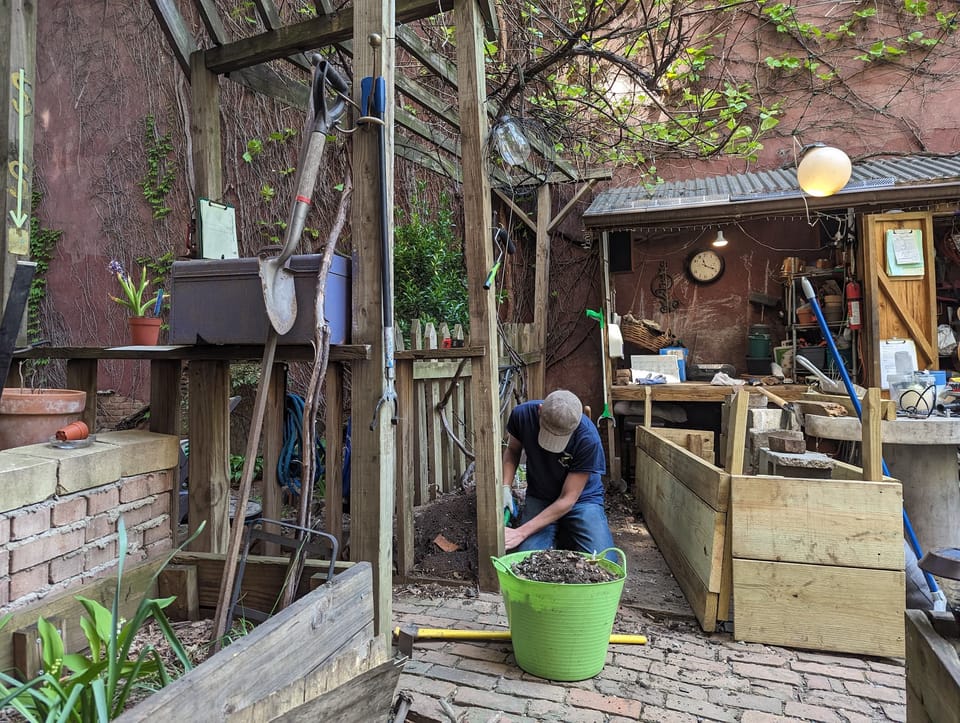 Grapes Raised Bed Project